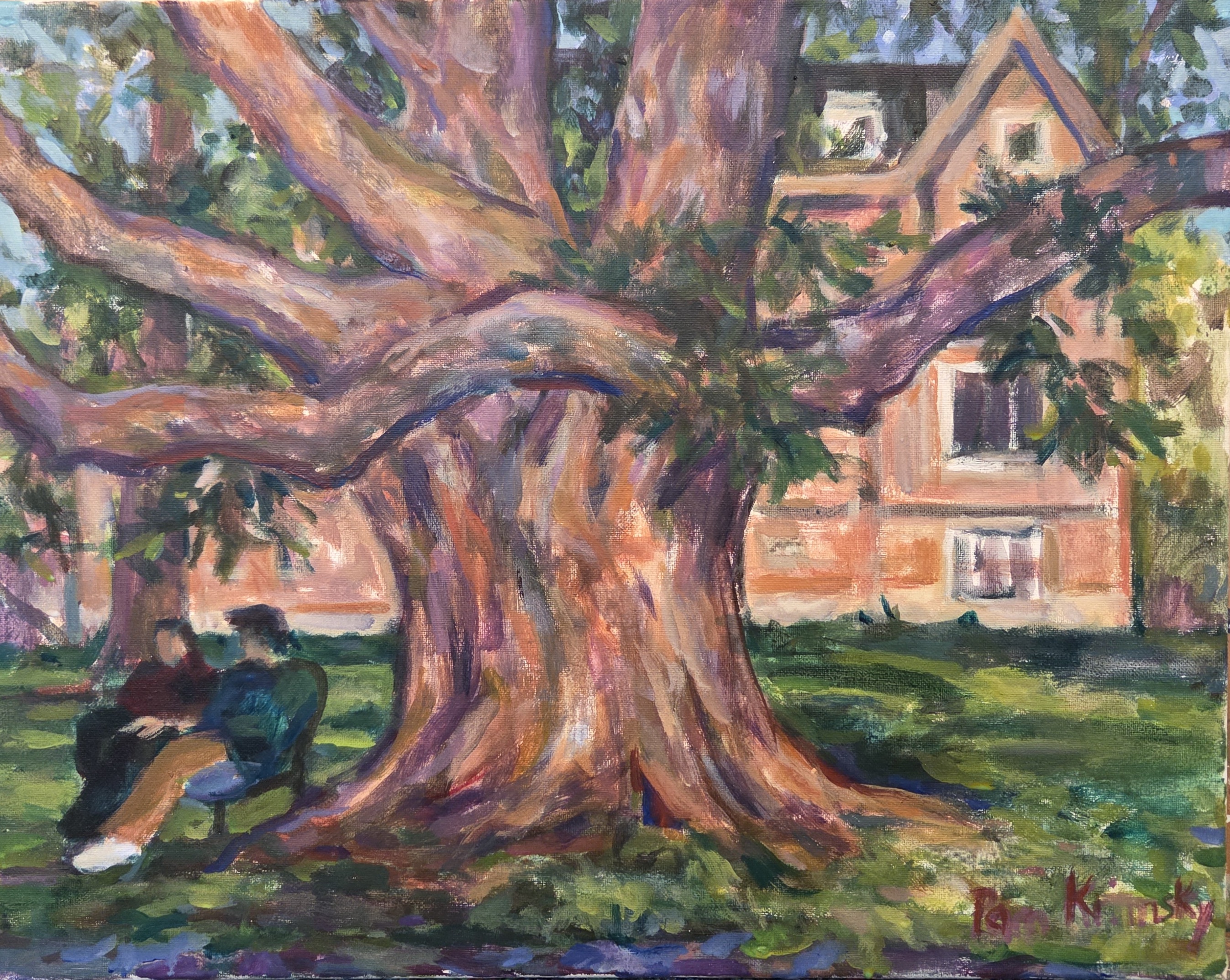 Old Plane Tree on Vassar Campus