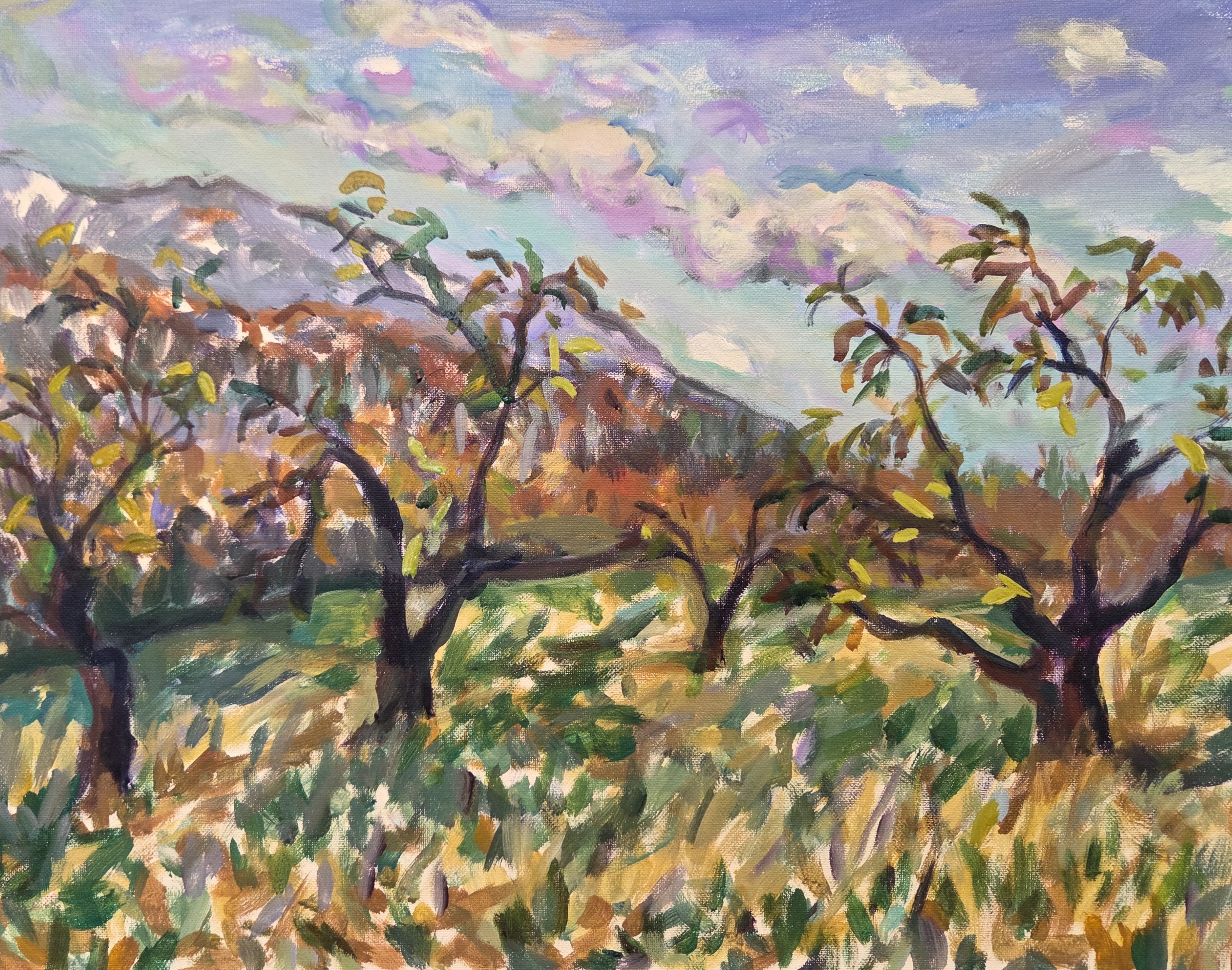 Peach Orchard on Phillies Bridge Rd